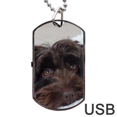 Laying In Dog Bed Dog Tag Usb Flash (one Side) by pauchesstore