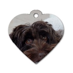 Laying In Dog Bed Dog Tag Heart (one Side) by pauchesstore