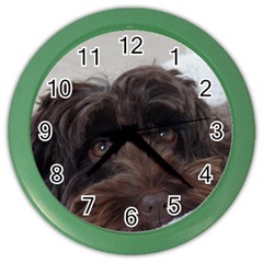 Laying In Dog Bed Color Wall Clock by pauchesstore