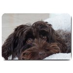 Laying In Dog Bed Large Doormat  30 x20  Door Mat