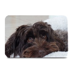 Laying In Dog Bed Plate Mats by pauchesstore