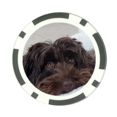 Laying In Dog Bed Poker Chip Card Guard