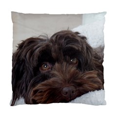 Laying In Dog Bed Standard Cushion Case (one Side) by pauchesstore