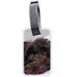 Laying In Dog Bed Luggage Tags (Two Sides) Front