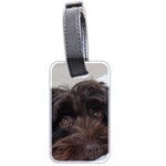 Laying In Dog Bed Luggage Tags (Two Sides) Back