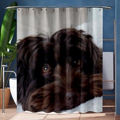 Laying In Dog Bed Shower Curtain 60  X 72  (medium) 