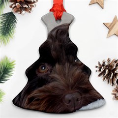 Laying In Dog Bed Ornament (christmas Tree) 