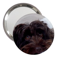 Laying In Dog Bed 3  Handbag Mirrors by pauchesstore