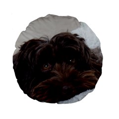 Laying In Dog Bed Standard 15  Premium Flano Round Cushions by pauchesstore