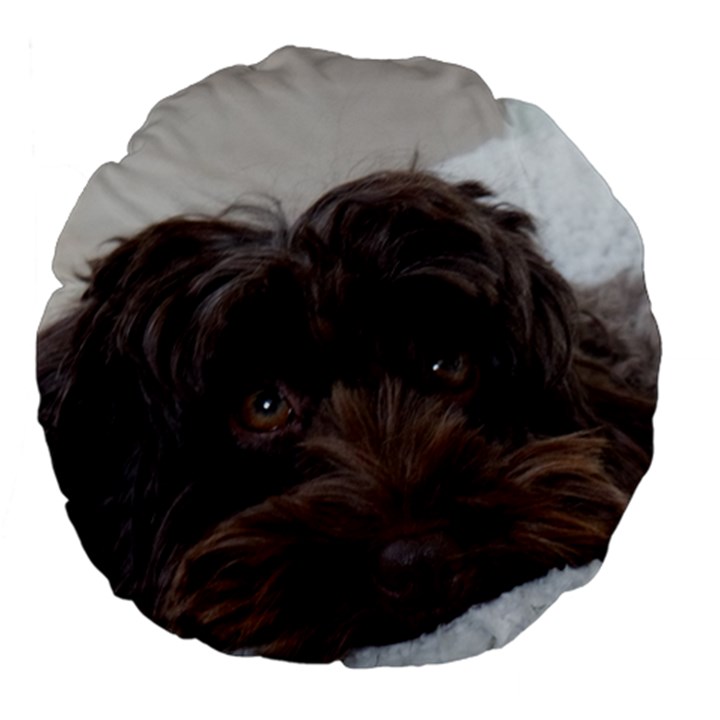 Laying In Dog Bed Large 18  Premium Flano Round Cushions