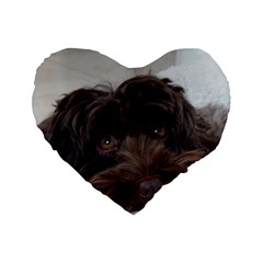 Laying In Dog Bed Standard 16  Premium Flano Heart Shape Cushions by pauchesstore