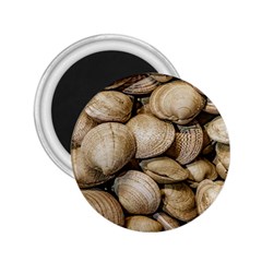 Shellfishs Photo Print Pattern 2 25  Magnets by dflcprintsclothing