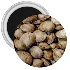 Shellfishs Photo Print Pattern 3  Magnets by dflcprintsclothing