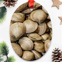 Shellfishs Photo Print Pattern Ornament (oval) by dflcprintsclothing