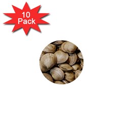 Shellfishs Photo Print Pattern 1  Mini Buttons (10 Pack)  by dflcprintsclothing