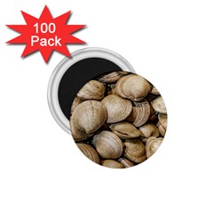 Shellfishs Photo Print Pattern 1 75  Magnets (100 Pack)  by dflcprintsclothing