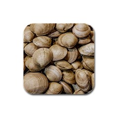 Shellfishs Photo Print Pattern Rubber Square Coaster (4 Pack)  by dflcprintsclothing