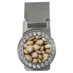 Shellfishs Photo Print Pattern Money Clips (cz)  by dflcprintsclothing