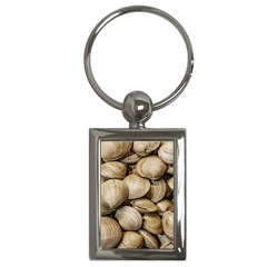 Shellfishs Photo Print Pattern Key Chains (rectangle)  by dflcprintsclothing