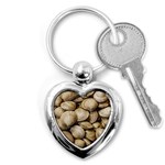 Shellfishs Photo Print Pattern Key Chains (Heart)  Front