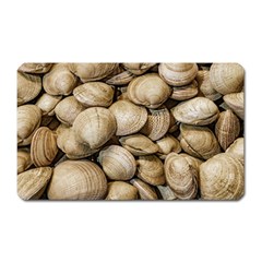 Shellfishs Photo Print Pattern Magnet (rectangular) by dflcprintsclothing