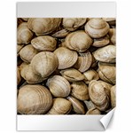 Shellfishs Photo Print Pattern Canvas 12  x 16  11.86 x15.41  Canvas - 1