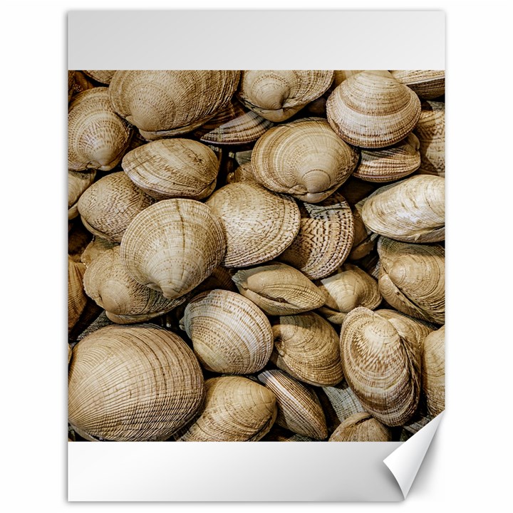 Shellfishs Photo Print Pattern Canvas 12  x 16 