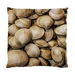 Shellfishs Photo Print Pattern Standard Cushion Case (one Side) by dflcprintsclothing