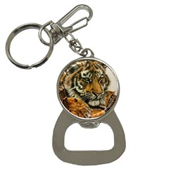 Tiger Cub  Bottle Opener Key Chains by ArtByThree