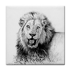 Lion Wildlife Art And Illustration Pencil Tile Coasters by Sudhe