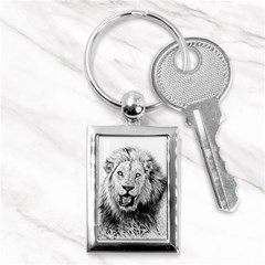 Lion Wildlife Art And Illustration Pencil Key Chains (rectangle)  by Sudhe