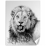 Lion Wildlife Art And Illustration Pencil Canvas 12  x 16  11.86 x15.41  Canvas - 1