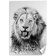 Lion Wildlife Art And Illustration Pencil Canvas 12  X 18  by Sudhe