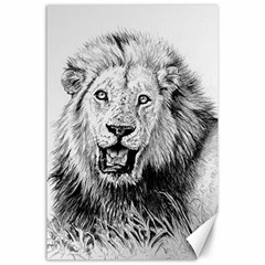 Lion Wildlife Art And Illustration Pencil Canvas 24  X 36  by Sudhe