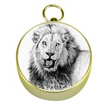 Lion Wildlife Art And Illustration Pencil Gold Compasses Front