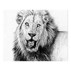 Lion Wildlife Art And Illustration Pencil Double Sided Flano Blanket (large)  by Sudhe