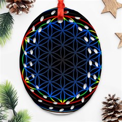 Flower Of Life Oval Filigree Ornament (two Sides) by Sudhe