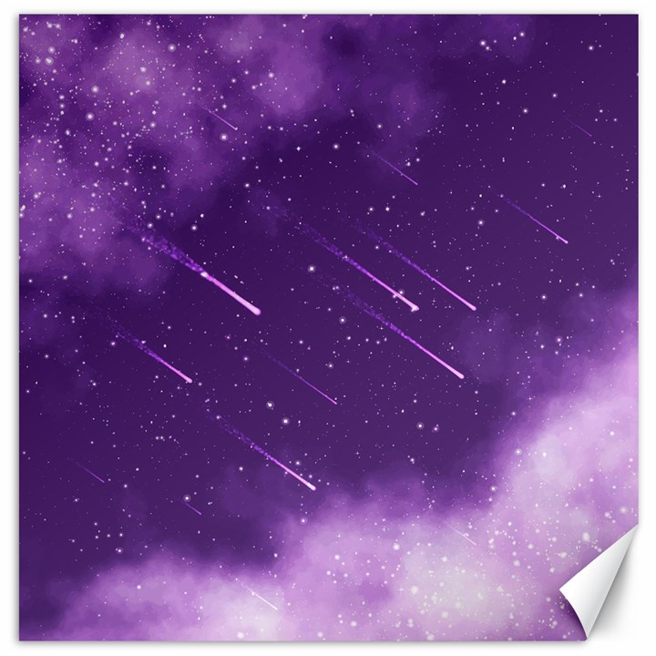 Meteors Canvas 20  x 20 