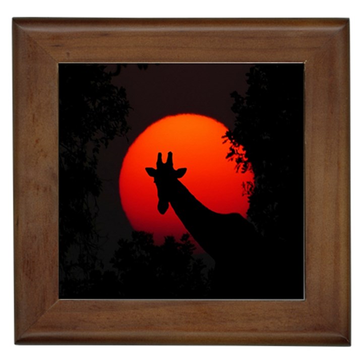 Giraffe Animal Africa Sunset Framed Tiles