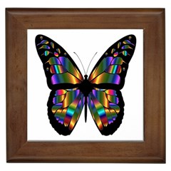 Abstract Animal Art Butterfly Framed Tiles by Sudhe