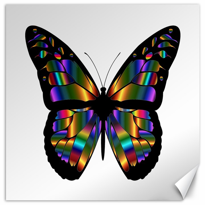 Abstract Animal Art Butterfly Canvas 20  x 20 