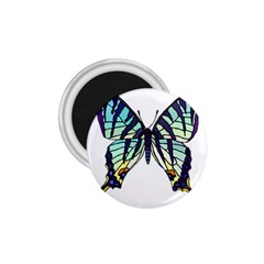 A Colorful Butterfly 1 75  Magnets by Sudhe