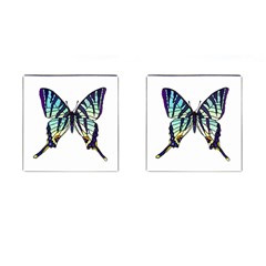 A Colorful Butterfly Cufflinks (square) by Sudhe