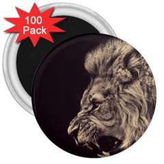 Angry Male Lion 3  Magnets (100 Pack) by Sudhe