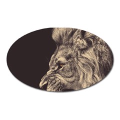 Angry Male Lion Oval Magnet by Sudhe