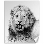 Lion Wildlife Art And Illustration Pencil Canvas 16  x 20  15.75 x19.29  Canvas - 1