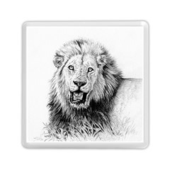 Lion Wildlife Art And Illustration Pencil Memory Card Reader (square) by Sudhe