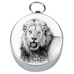 Lion Wildlife Art And Illustration Pencil Silver Compasses by Sudhe