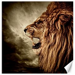 Roaring Lion Canvas 12  X 12  by Sudhe