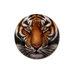 The Tiger Face Magnet 3  (round) by Sudhe